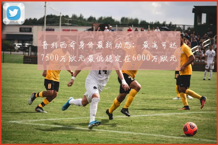 普利西奇身价最新动态：最高可达7500万欧元最低稳定在6000万欧元
