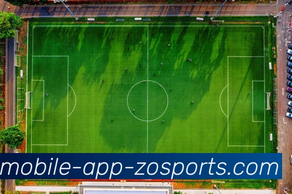 中欧体育APP 体育赛事宣传图